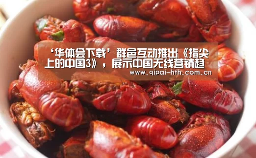 ‘华体会下载’群邑互动推出《指尖上的中国3》,展示中国无线营销趋势(图2) 电竞棋牌