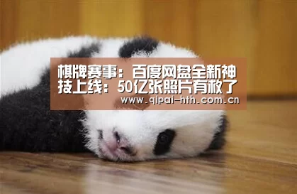 棋牌赛事:百度网盘全新神技上线:50亿张照片有救了(图2) 电竞棋牌