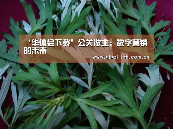 ‘华体会下载’公关做主:数字营销的未来(图2) 华体会下载